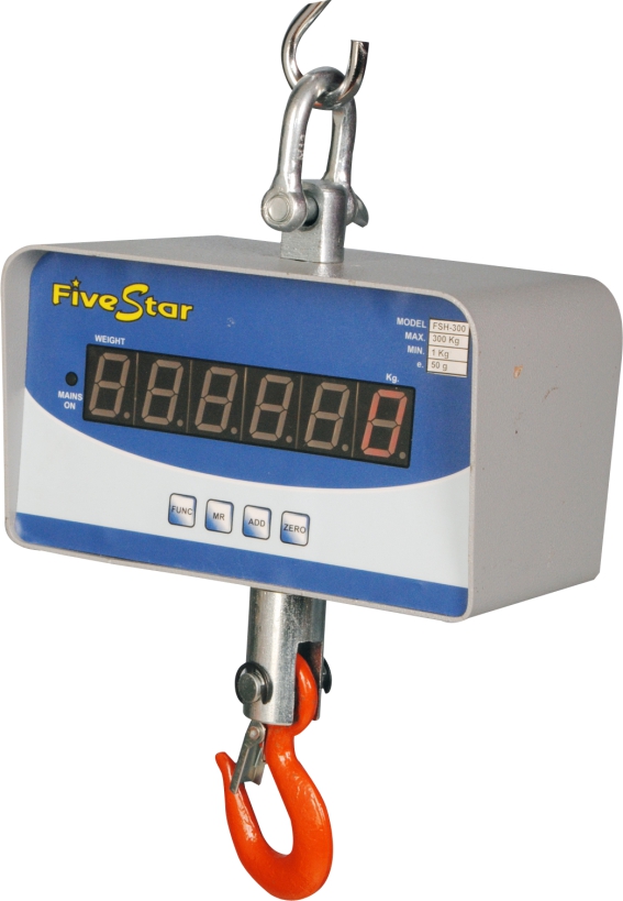 Crane Scale